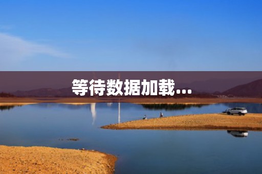 等待数据加载...