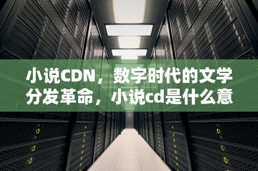 小说CDN，数字时代的文学分发革命，小说cd是什么意思网络用语