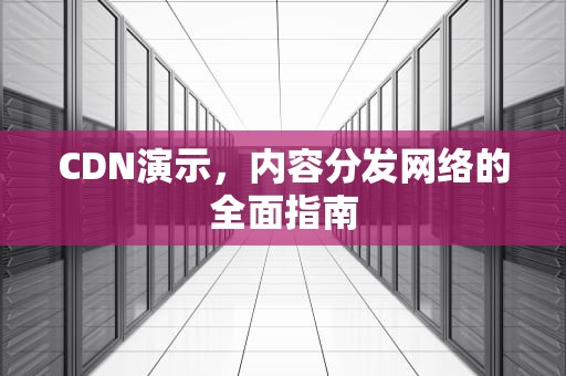 CDN演示，内容分发网络的全面指南