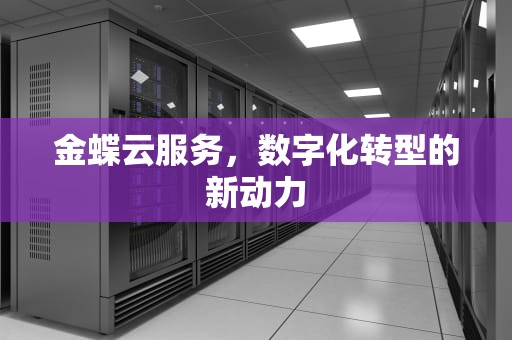 金蝶云服务，数字化转型的新动力