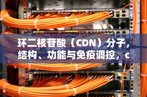 环二核苷酸（CDN）分子，结构、功能与免疫调控，cdn分类