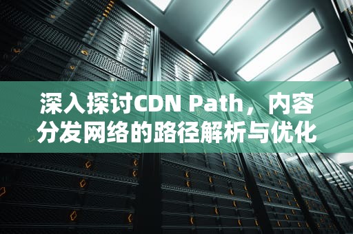 深入探讨CDN Path，内容分发网络的路径解析与优化
