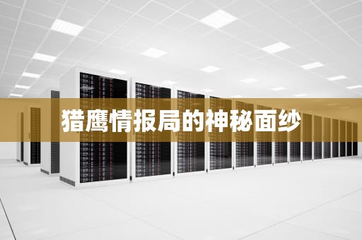 猎鹰情报局的神秘面纱