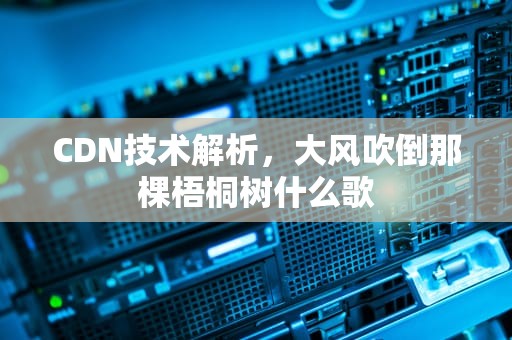 CDN技术解析，大风吹倒那棵梧桐树什么歌