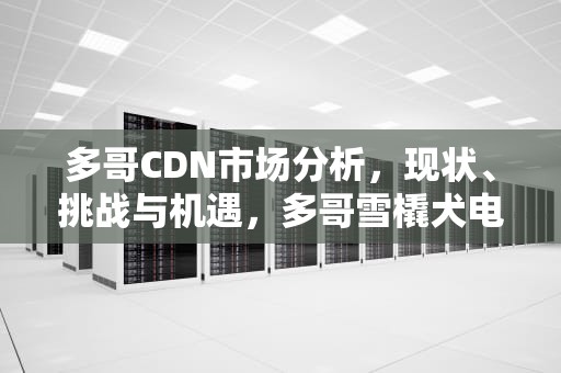 多哥CDN市场分析，现状、挑战与机遇，多哥雪橇犬电影