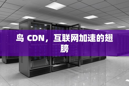 鸟 CDN，互联网加速的翅膀