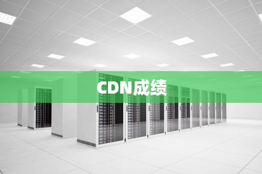CDN成绩