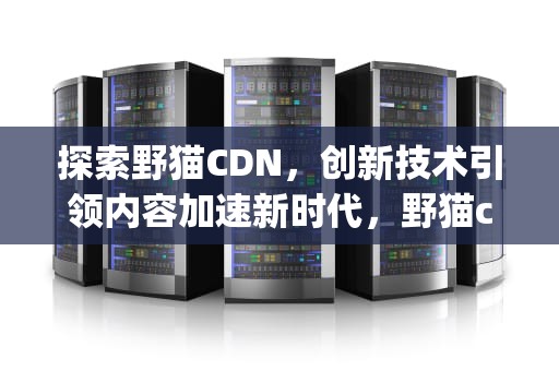 探索野猫CDN，创新技术引领内容加速新时代，野猫cdkey