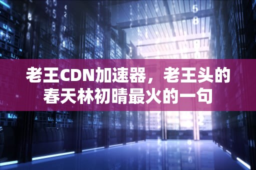 老王CDN加速器，老王头的春天林初晴最火的一句