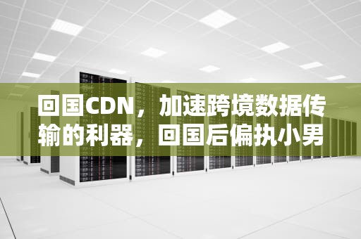 回国CDN，加速跨境数据传输的利器，回国后偏执小男友疯了
