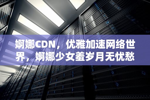 婀娜CDN，优雅加速网络世界，婀娜少女羞岁月无忧愁云裳