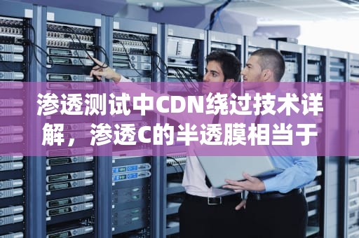 渗透测试中CDN绕过技术详解，渗透C的半透膜相当于肾脏的什么
