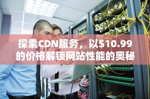 探索CDN服务，以$10.99的价格解锁网站性能的奥秘