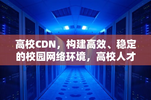 高校CDN，构建高效、稳定的校园网络环境，高校人才网