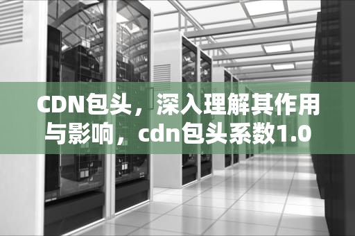 CDN包头，深入理解其作用与影响，cdn包头系数1.0和1.1