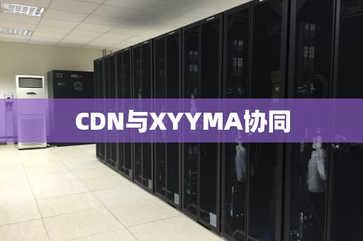CDN与XYYMA协同