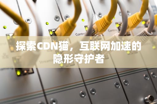 探索CDN猫，互联网加速的隐形守护者