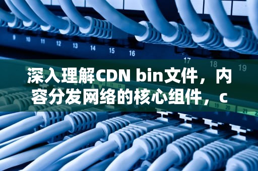 深入理解CDN bin文件，内容分发网络的核心组件，cdnbin能删除吗