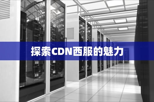 探索CDN西服的魅力