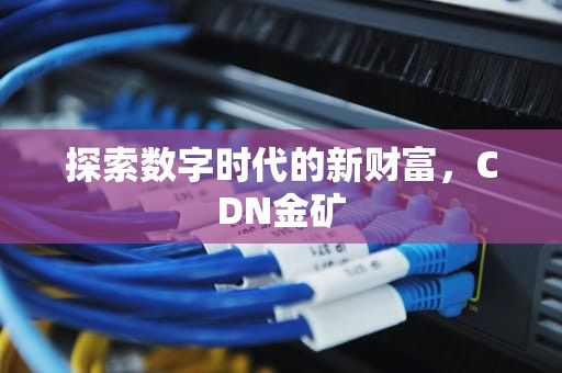 探索数字时代的新财富，CDN金矿