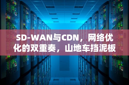 SD-WAN与CDN，网络优化的双重奏，山地车挡泥板安装图解
