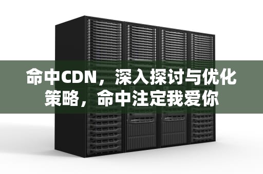 命中CDN，深入探讨与优化策略，命中注定我爱你