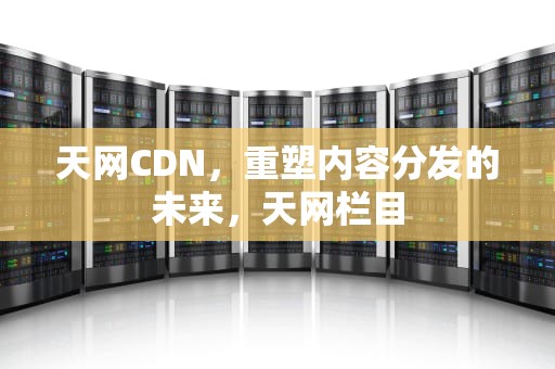 天网CDN，重塑内容分发的未来，天网栏目