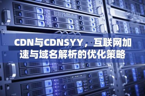 CDN与CDNSYY，互联网加速与域名解析的优化策略