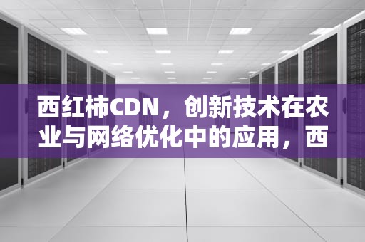 西红柿CDN，创新技术在农业与网络优化中的应用，西红柿的功效与作用