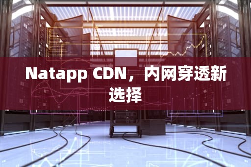 Natapp CDN，内网穿透新选择