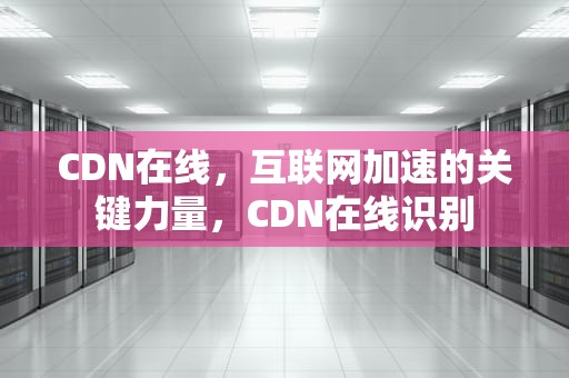 CDN在线，互联网加速的关键力量，CDN在线识别
