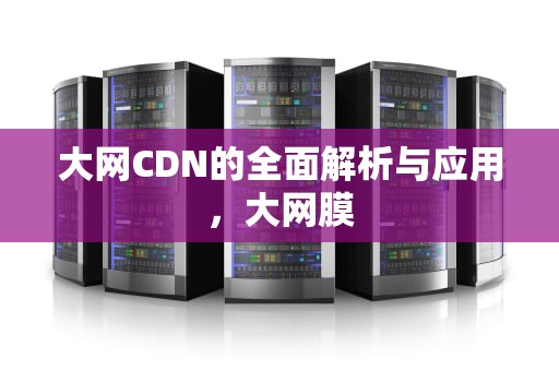 大网CDN的全面解析与应用，大网膜