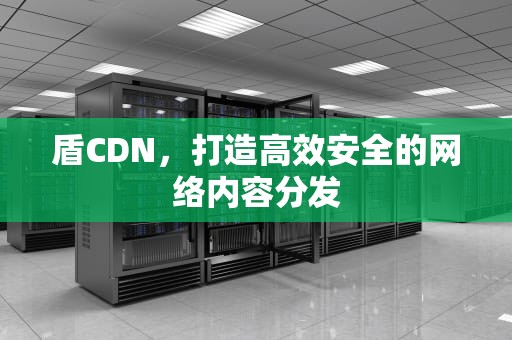 盾CDN，打造高效安全的网络内容分发