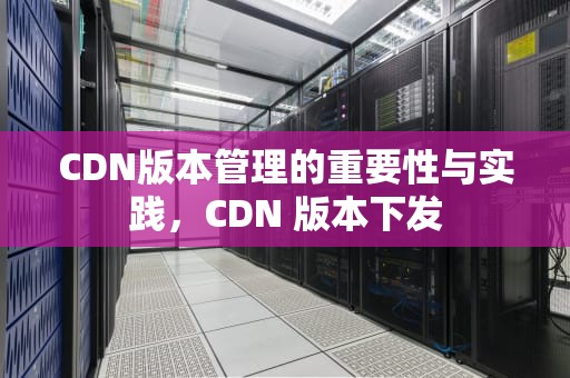 CDN版本管理的重要性与实践，CDN 版本下发