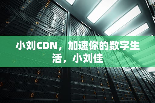 小刘CDN，加速你的数字生活，小刘佳