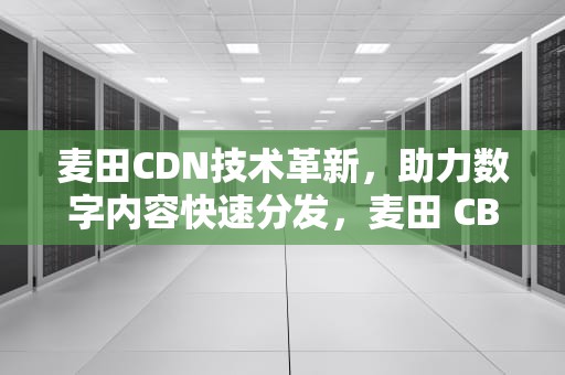 麦田CDN技术革新，助力数字内容快速分发，麦田 CBD