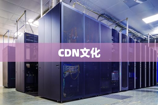CDN文化
