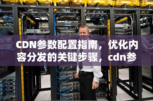 CDN参数配置指南，优化内容分发的关键步骤，cdn参数缓存