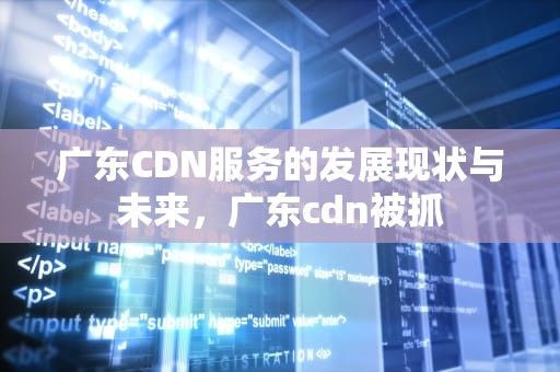 广东CDN服务的发展现状与未来，广东cdn被抓