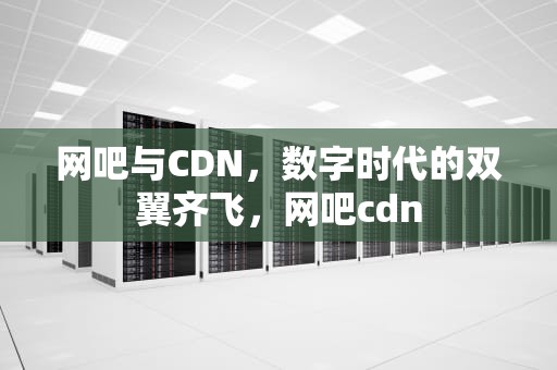 网吧与CDN，数字时代的双翼齐飞，网吧cdn