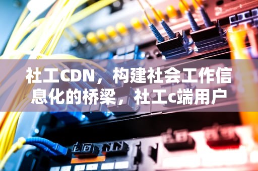 社工CDN，构建社会工作信息化的桥梁，社工c端用户,b端用户是什么意思呀