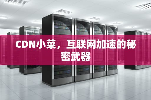 CDN小菜，互联网加速的秘密武器