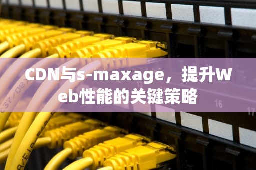 CDN与s-maxage，提升Web性能的关键策略