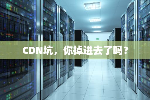 CDN坑，你掉进去了吗？