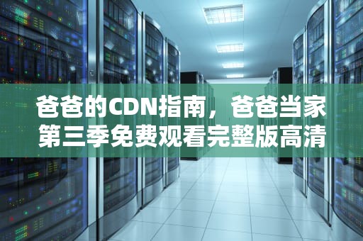 爸爸的CDN指南，爸爸当家第三季免费观看完整版高清