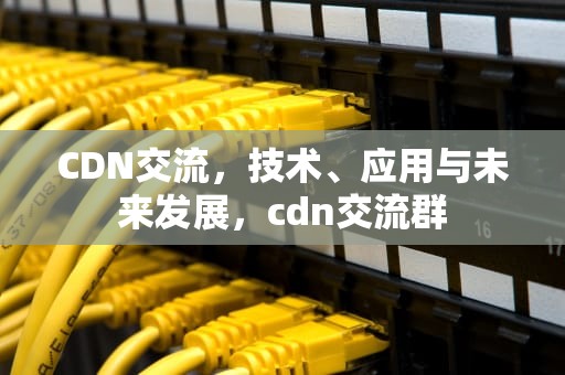 CDN交流，技术、应用与未来发展，cdn交流群