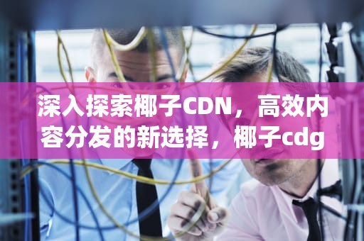 深入探索椰子CDN，高效内容分发的新选择，椰子cdg联名鞋子