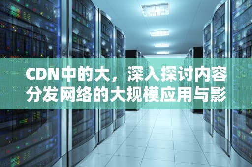 CDN中的大，深入探讨内容分发网络的大规模应用与影响