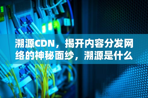 溯源CDN，揭开内容分发网络的神秘面纱，溯源是什么意思