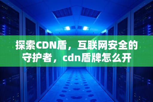 探索CDN盾，互联网安全的守护者，cdn盾牌怎么开